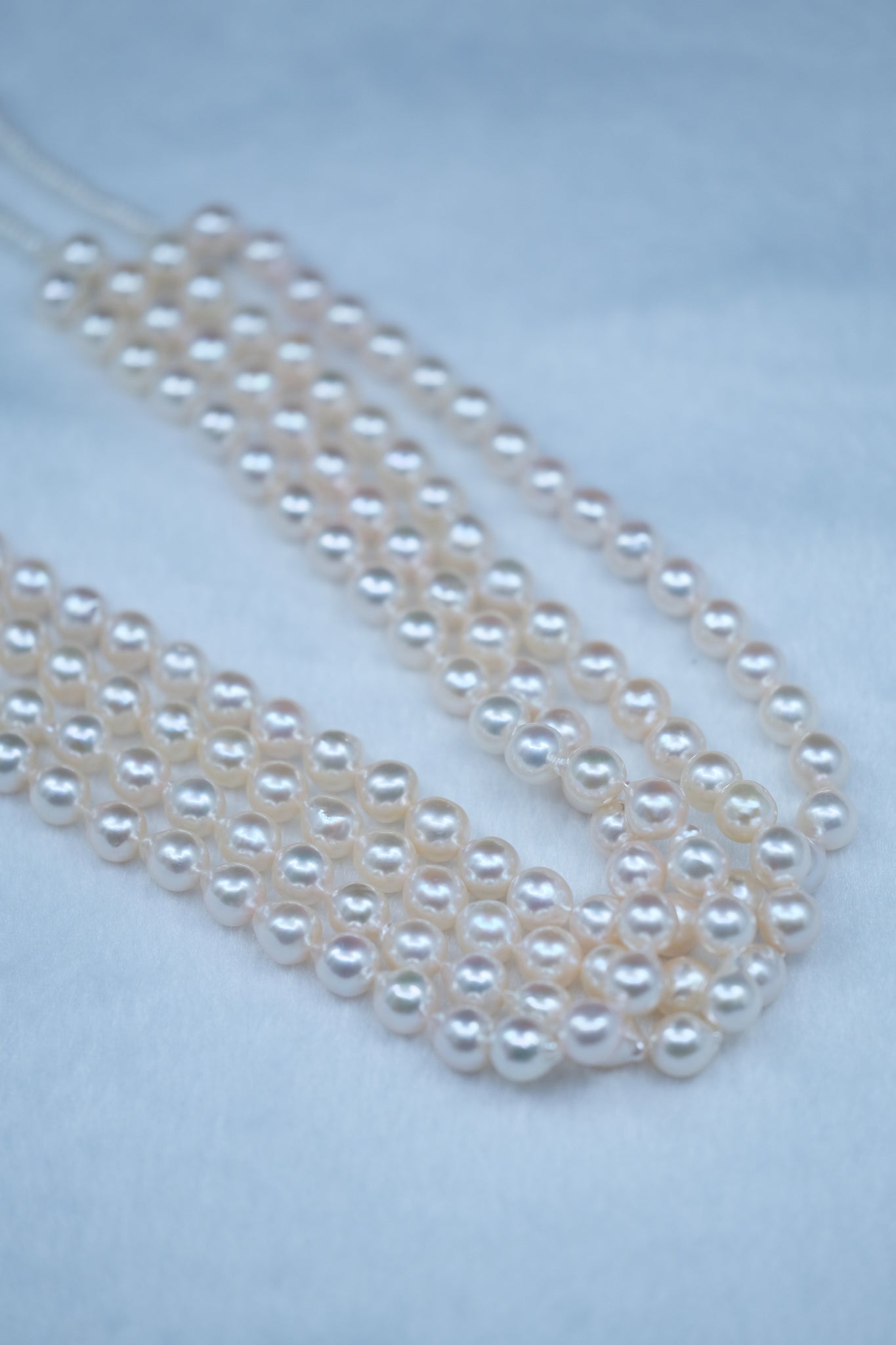 Jardin | 8.5-9mm Rosè Akoya Semi-Baroque Pearl Necklace